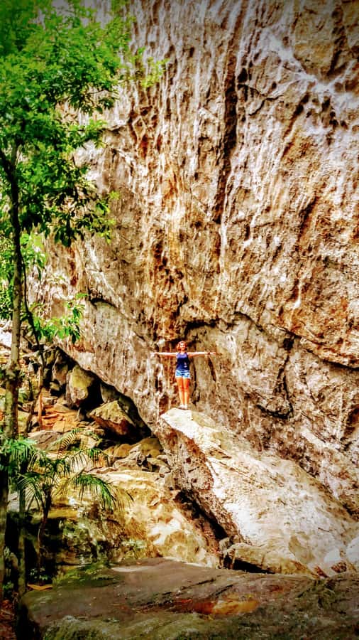 Rio de Janeiro: Tijuca Forest Challenge Hike Full-Day Trip - The quieter trail through the rainforest