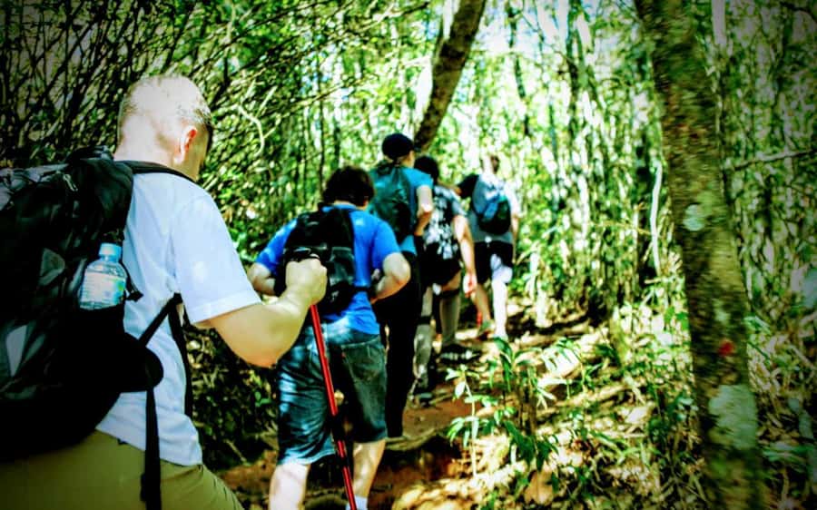 Rio de Janeiro: Tijuca Forest Challenge Hike Full-Day Trip - Grottos, the Bat Cave, and Cascata da Baronesa