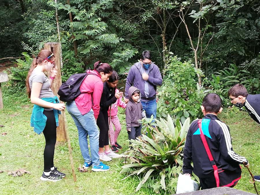 Rio de Janeiro: Tijuca Forest Waterfall of Souls Hike - Why This Tijuca Forest Experience Feels Different