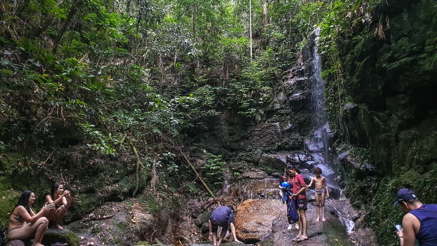 Rio de Janeiro: Tijuca Forest Waterfall of Souls Hike - The First Stream and the Trail’s Small Discoveries