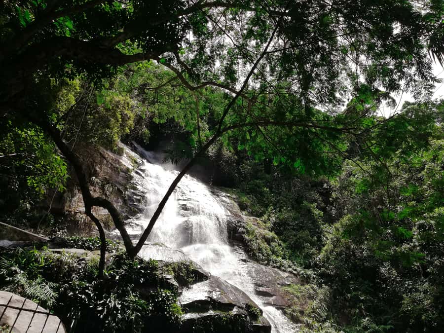 Rio de Janeiro: Tijuca Forest Waterfall of Souls Hike - Cascata Taunay and the Return Circuit