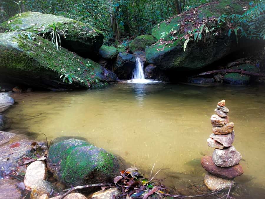 Rio de Janeiro: Tijuca Forest Waterfall of Souls Hike - What the $60 Price Really Covers