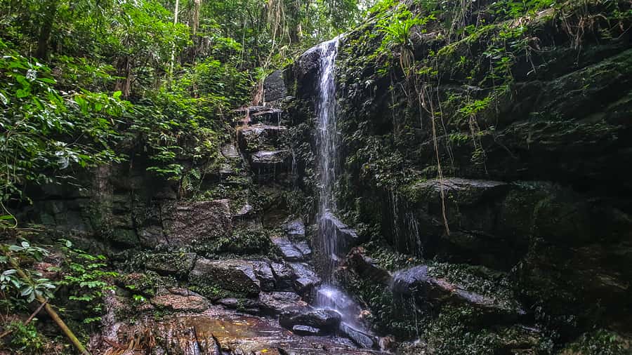 Rio de Janeiro: Tijuca Forest Waterfall of Souls Hike - Meeting at Estrada da Cascatinha, 300