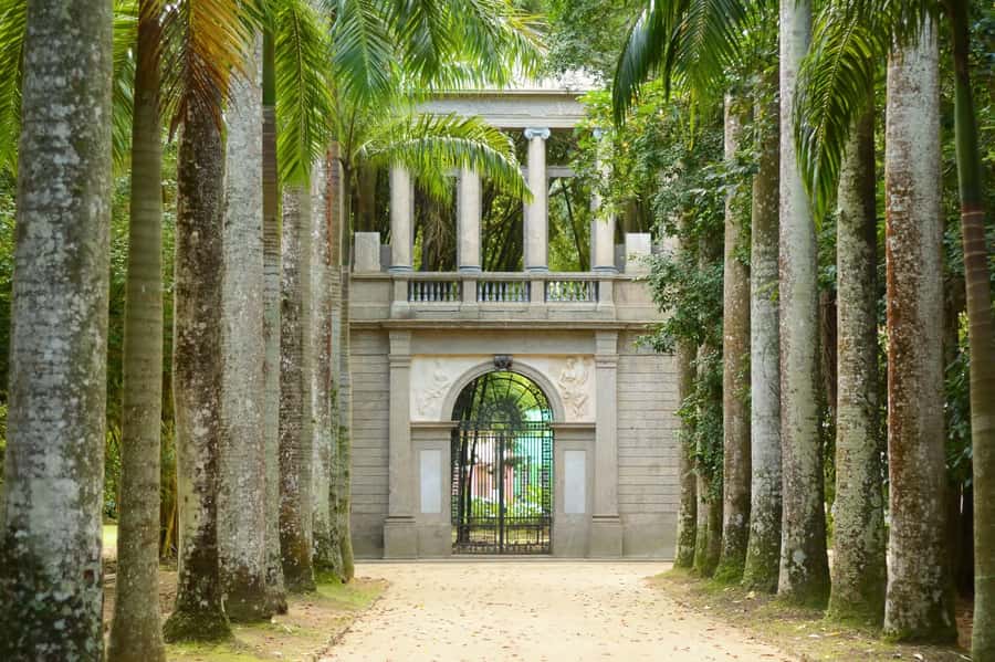 Rio de Janeiro: Tijuca National Park & Botanic Garden Tour - Why this half-day tour works in Rio