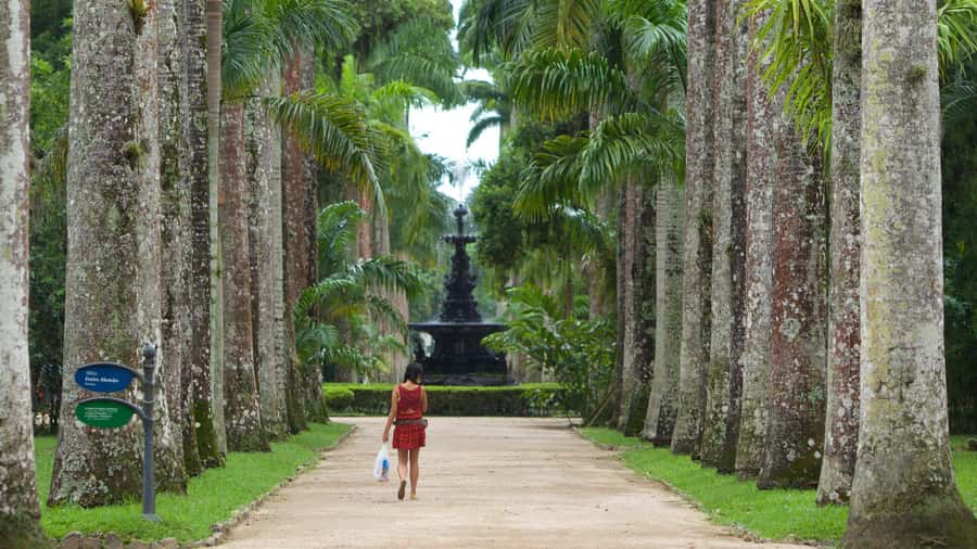 Rio de Janeiro: Tijuca National Park & Botanic Garden Tour - What the $65 price really covers