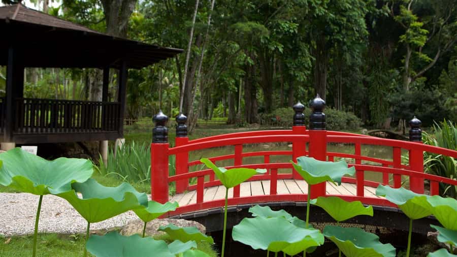 Rio de Janeiro: Tijuca National Park & Botanic Garden Tour - Guides and the feel of the outing