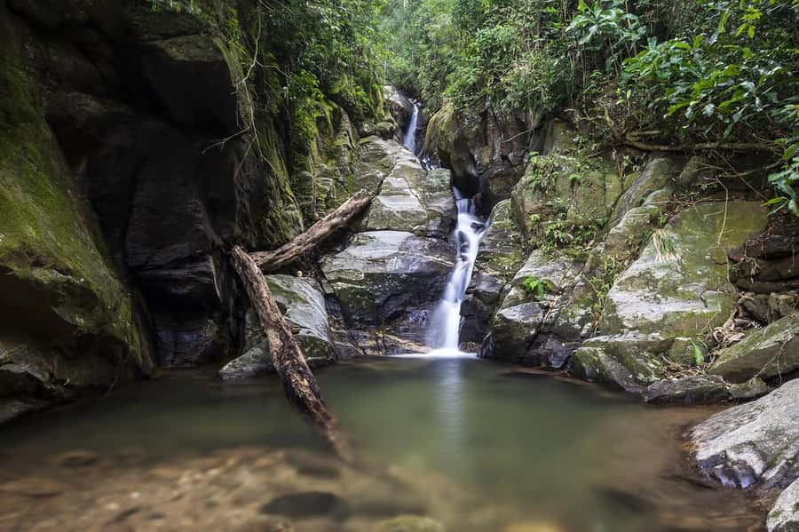 Rio de Janeiro: Tijuca National Park & Botanic Garden Tour - Entering Tijuca National Park