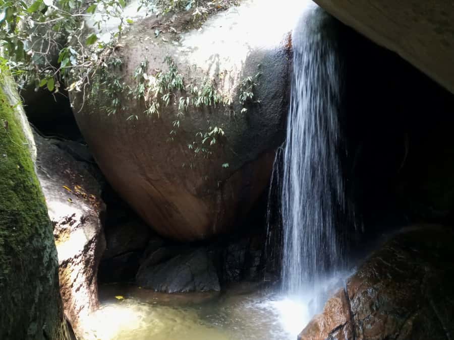 Rio de Janeiro: Tijuca National Park EcoTour - Should you book the Tijuca EcoTour?