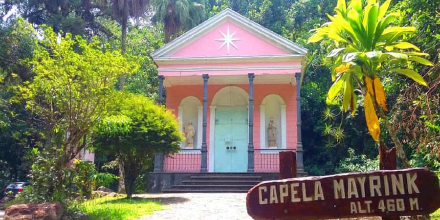 Rio de Janeiro: Tijuca National Park EcoTour - Walking through the Forest Sector