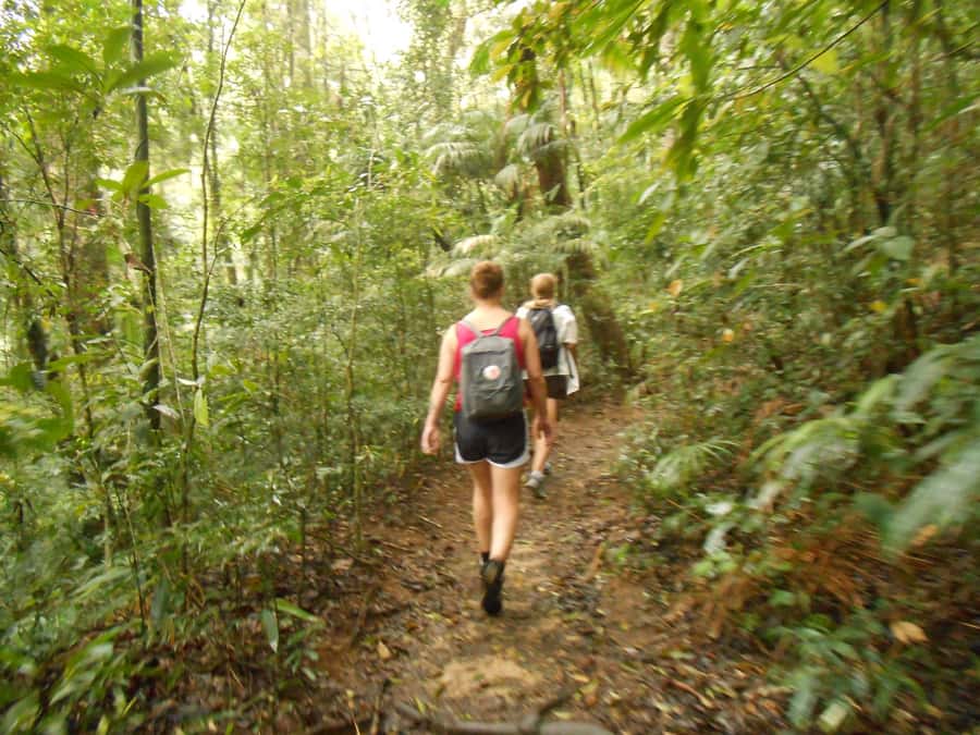 Rio de Janeiro: Tijuca National Park EcoTour - Vista Chinesa and the final Rio view