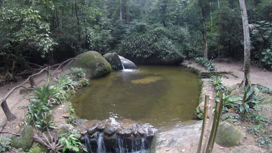 Rio de Janeiro: Tijuca National Park EcoTour - Who will enjoy this tour most