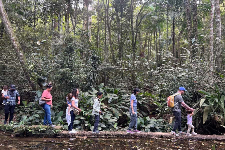 Rio de Janeiro: Tijuca National Park Tour - Key points at a glance