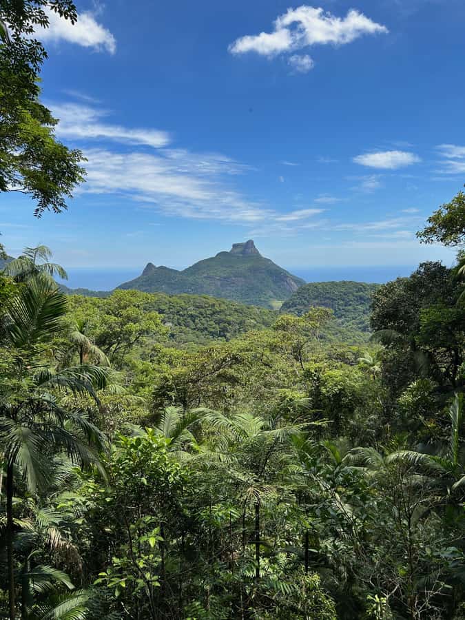 Rio de Janeiro: Tijuca National Park Tour - Why Tijuca works so well in a Rio itinerary