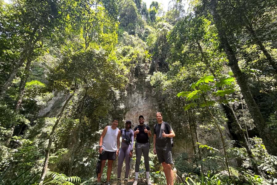 Rio de Janeiro: Tijuca National Park Tour - Cachoeira das Almas and the smaller water features