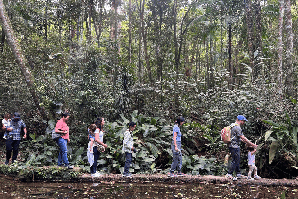 Rio de Janeiro: Tijuca National Park Tour - Gruta dos Morcegos: a change of mood