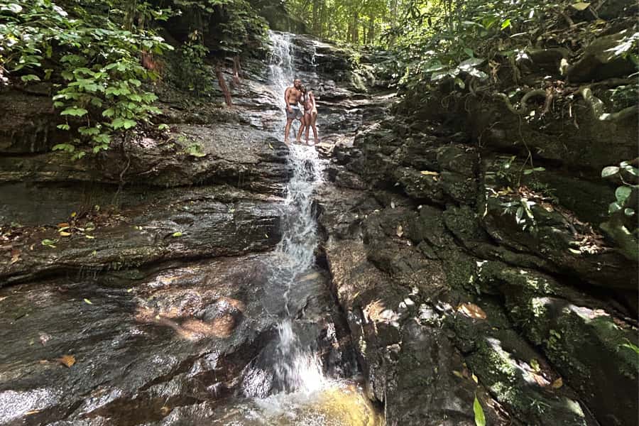 Rio de Janeiro: Tijuca National Park Tour - Wildlife: what you might actually see