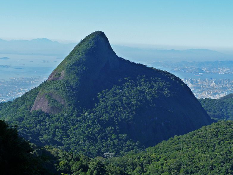 Rio de Janeiro: Tijuca Peak Guided Hike - Key points to know before booking