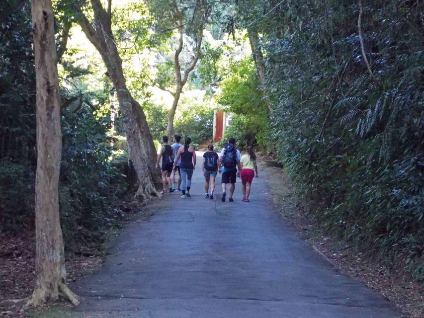 Rio de Janeiro: Tijuca Peak Guided Hike - Cachoeira das Almas waterfall stop