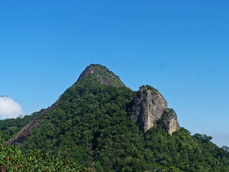 Rio de Janeiro: Tijuca Peak Guided Hike - The Tijuca National Park Museum visit