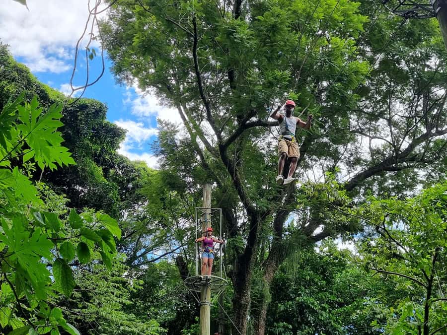 Rio de Janeiro: Zip Lining and Canopy Tree Tour - The one-hour hike to two viewpoints
