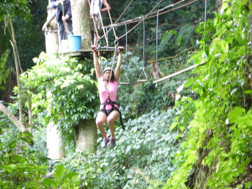 Rio de Janeiro: Zip Lining and Canopy Tree Tour - Platforms, obstacles, and the canopy section
