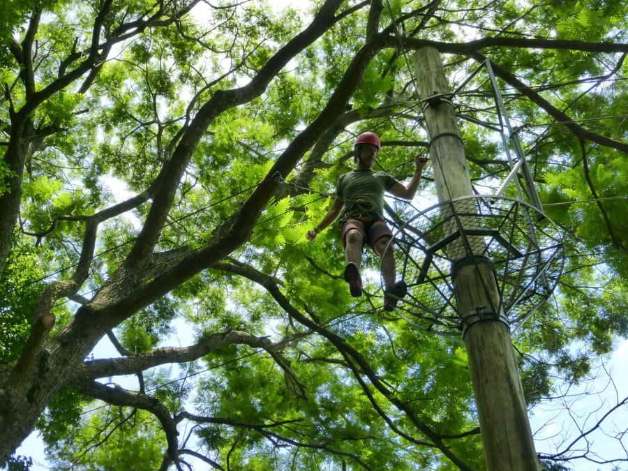 Rio de Janeiro: Zip Lining and Canopy Tree Tour - The 30-minute camp activity
