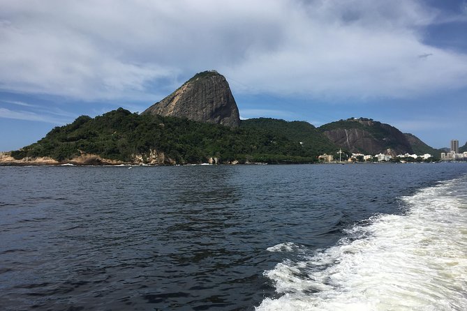 Rio From the Sea: Guanabara Bay Cruise with Optional Barbecue Lunch - Niterói’s museum and two historic forts