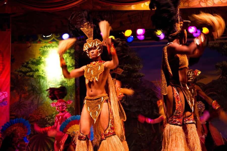 Rio: Ginga Tropical Folkloric Show & Optional Dinner - What the evening is really selling