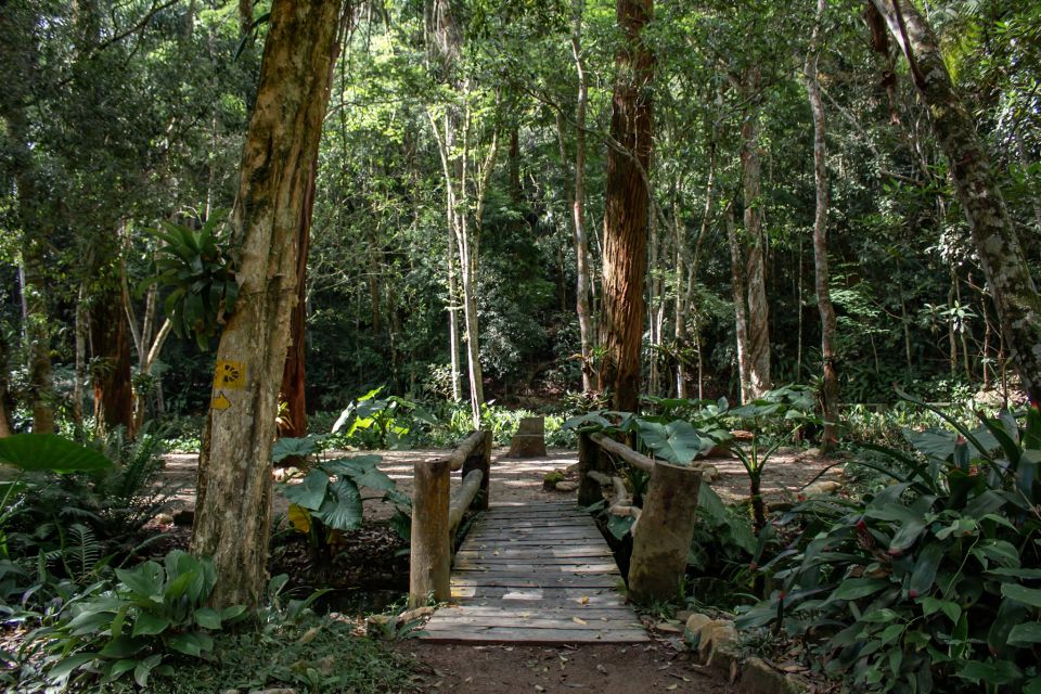 Rio: Half-Day Jeep Tour at Floresta da Tijuca - What to bring and who should book