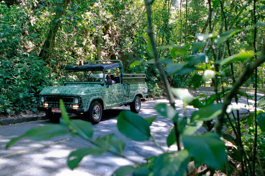 Rio: Half-Day Jeep Tour at Floresta da Tijuca - Riding from Rio into Tijuca National Forest