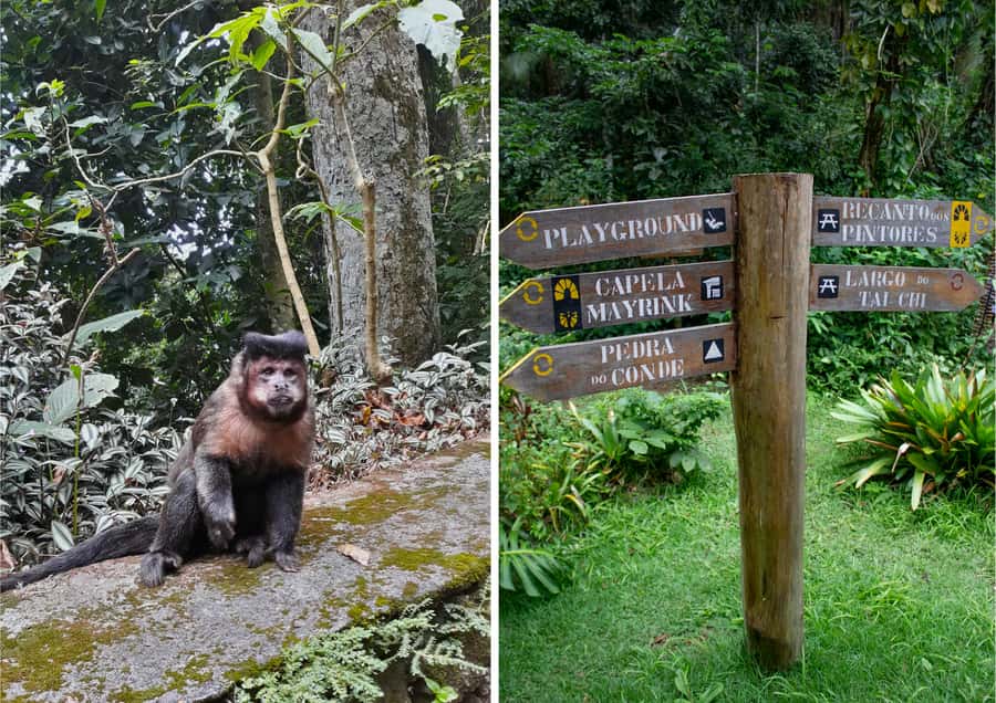 Rio: Half-Day Jeep Tour at Floresta da Tijuca - Capela Mayrink and two short forest walks