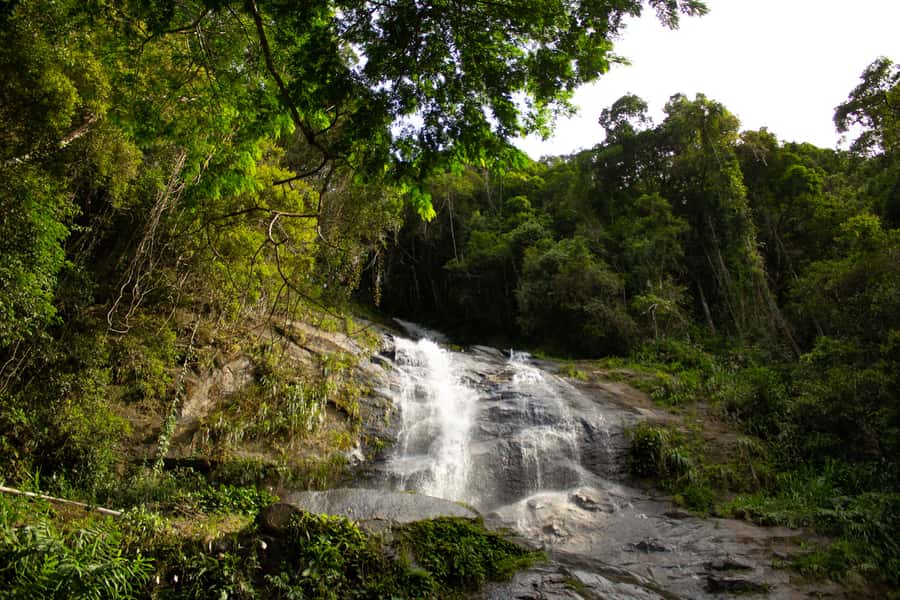 Rio: Half-Day Jeep Tour at Floresta da Tijuca - Vista Chinesa and Rio’s most rewarding viewpoint
