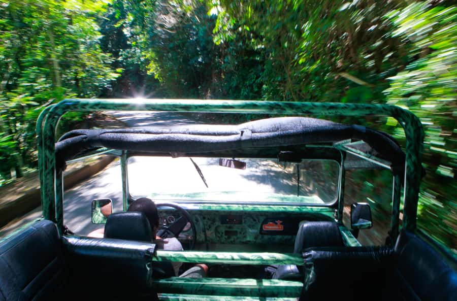 Rio: Half-Day Jeep Tour at Floresta da Tijuca - The guides make the difference