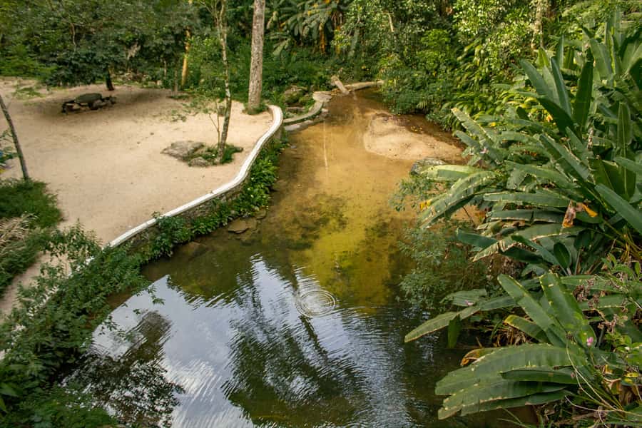 Rio: Half-Day Jeep Tour at Floresta da Tijuca - Is $60 a fair price?