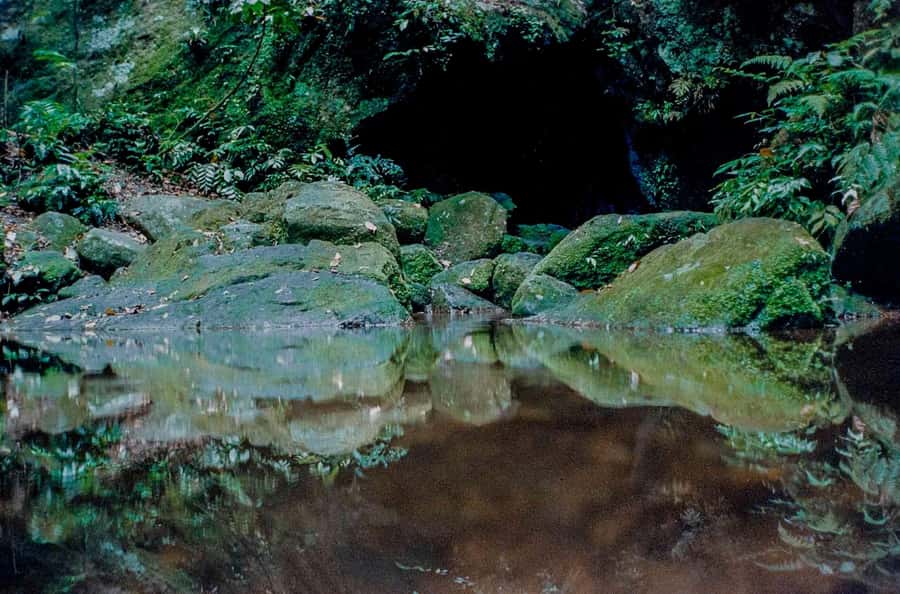 Rio: Half-Day Jeep Tour at Floresta da Tijuca - What makes Tijuca National Forest worth your morning