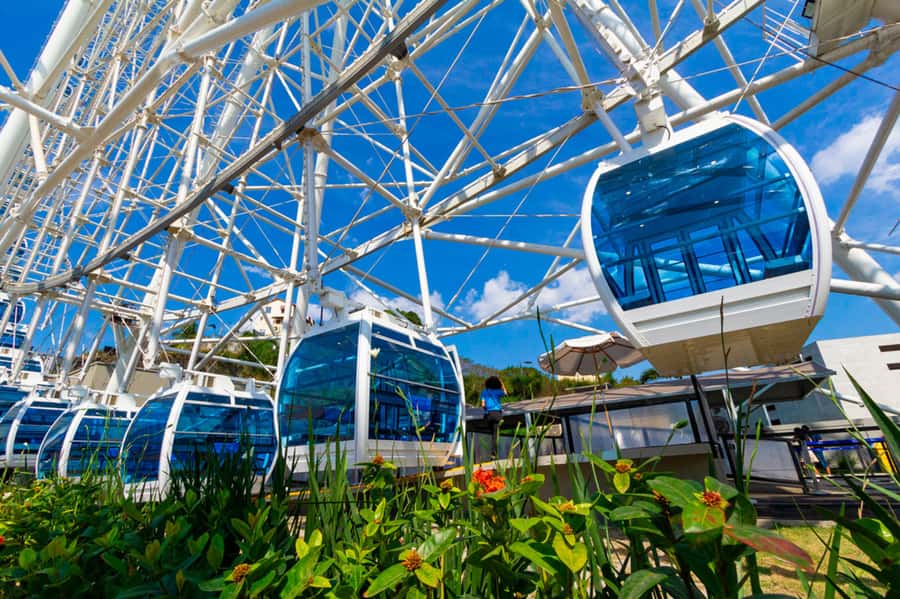 Rio: Museum of Tomorrow, Yup Star & Olympic Boulevard - Starting in Porto Maravilha