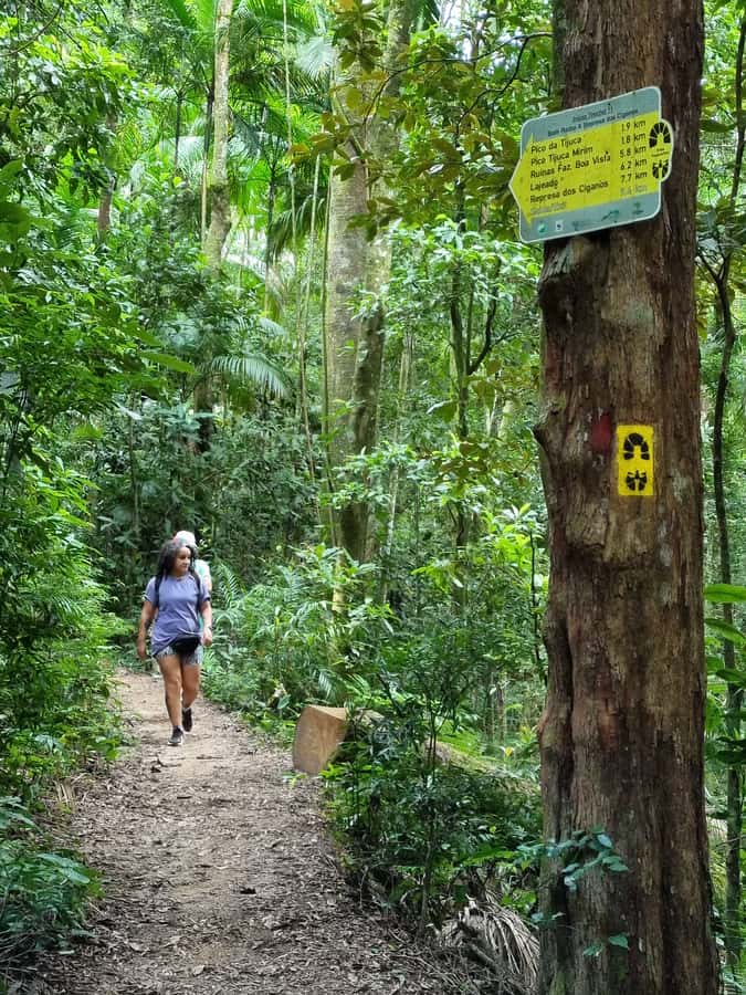 Rio: Private Tour 5 Hours Customized Tour With a Local Guide - Botanical Garden, Dona Marta, and Christ the Redeemer