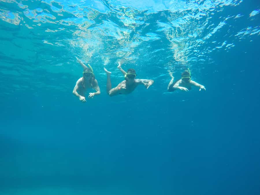 Rio: Snorkel & Swim with Turtles Tour at Tijuca Islands - Why this morning on the water works well