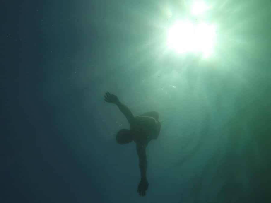 Rio: Snorkel & Swim with Turtles Tour at Tijuca Islands - Walking on the islands when conditions allow