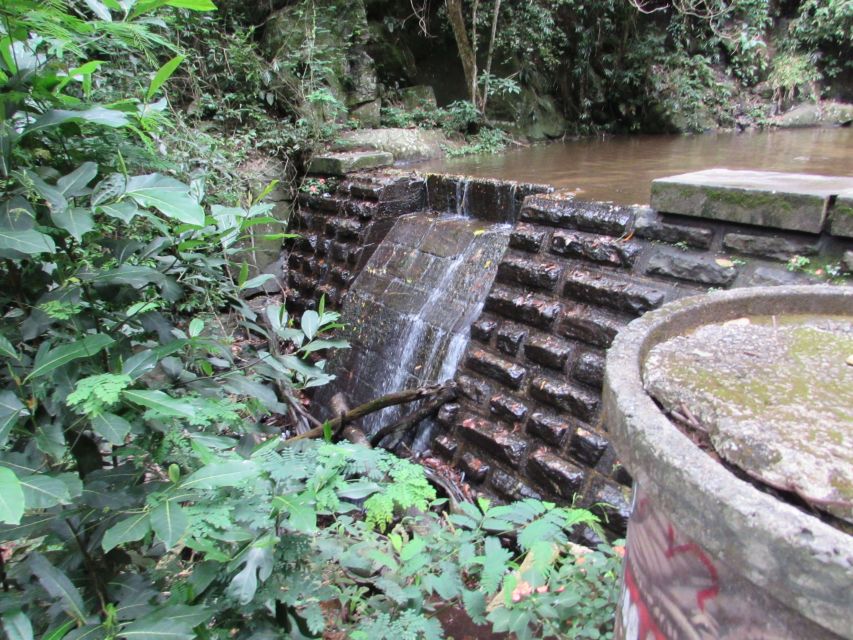 Rio: Tijuca Forest & Horto Waterfalls Circuit Tour - Jequitibá Waterfall: your first real reward