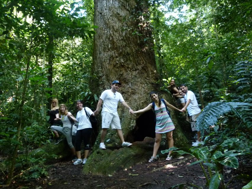 Rio: Tijuca Forest & Horto Waterfalls Circuit Tour - How difficult is the four-hour hike?