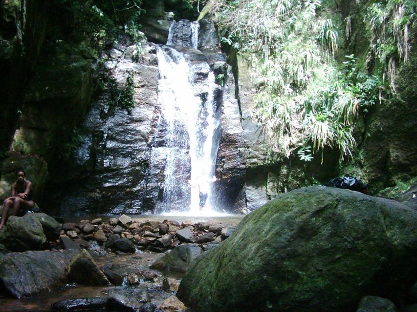 Rio: Tijuca Forest & Horto Waterfalls Circuit Tour - What to bring for a comfortable day