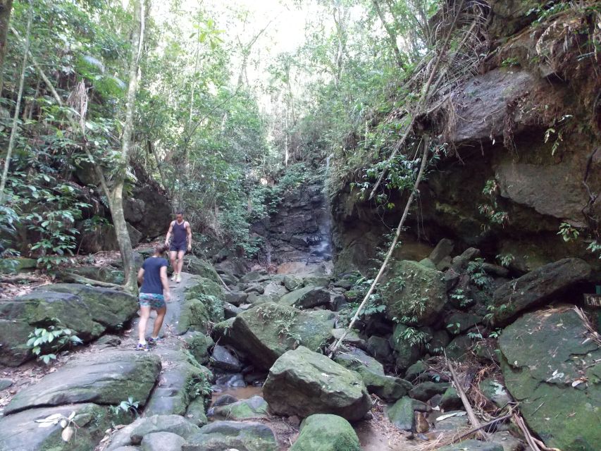 Rio: Tijuca Forest & Horto Waterfalls Circuit Tour - The Horto Waterfall Trail is more than a short walk