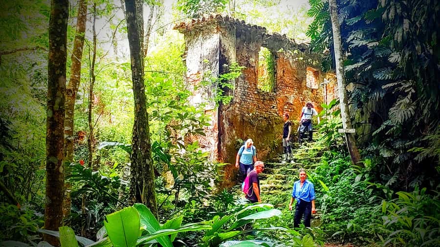 Rio: Tijuca Forest Small Group Hike to Caves and Waterfalls - Key points to know before you book