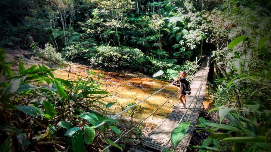 Rio: Tijuca Forest Small Group Hike to Caves and Waterfalls - Why this Tijuca Forest hike is worth your time