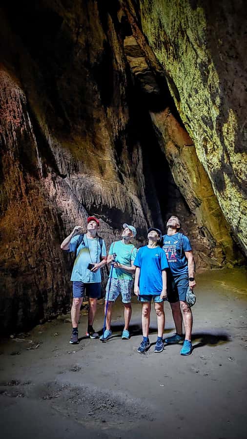 Rio: Tijuca Forest Small Group Hike to Caves and Waterfalls - Cascatinha Taunay and the park’s first stories