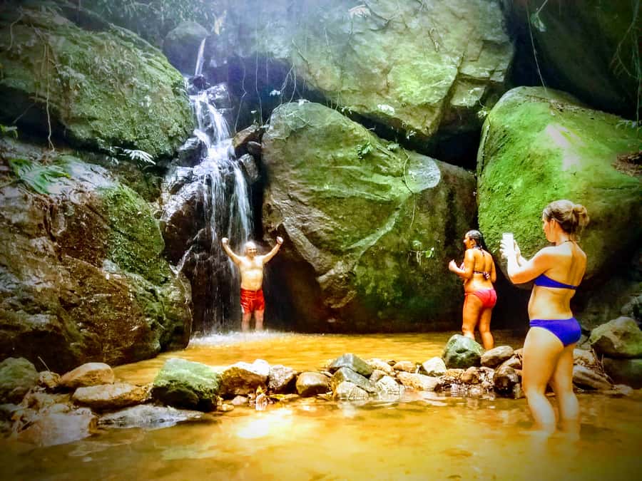 Rio: Tijuca Forest Small Group Hike to Caves and Waterfalls - The suspension bridge and Eucalyptus Forest