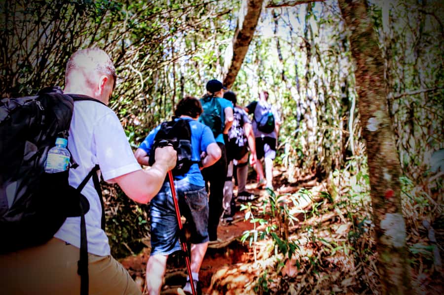 Rio: Tijuca Forest Small Group Hike to Caves and Waterfalls - Morcego’s Grotto, Brazil’s large gneiss cave