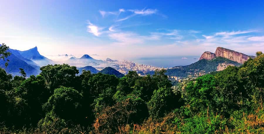 Rio: Tijuca National Park Small-Group Hike to Pedra Bonita - The 3.5-kilometer walk to Pedra Bonita