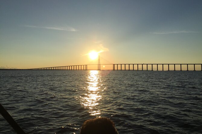 River Day Tour from Manaus - Seeing the Meeting of Waters up close